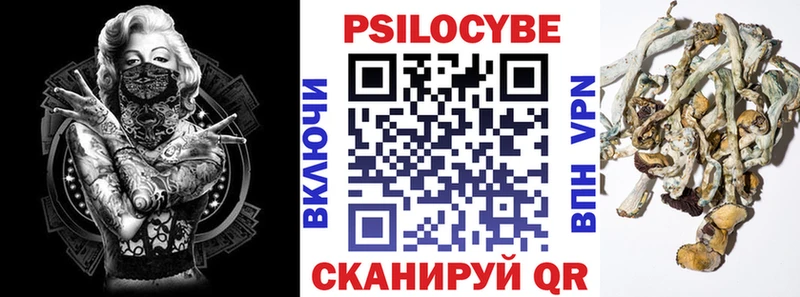где купить наркоту  Мезень  Псилоцибиновые грибы GOLDEN TEACHER 